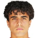 Denizcan Cosgun