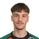 Nermin Mesic