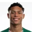 Luis Pacheco