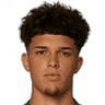 Flávio Gonçalves