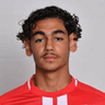 Amir Maaroufi