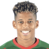 André Vidigal