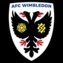 AFC Wimbledon U18