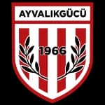 Ayvalıkgücü Belediyespor
