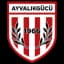 Ayvalıkgücü Belediyespor