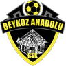 Beykoz Anadolu Spor A.Ş.