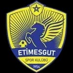 Etimesgut Spor Kulübü