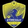 Etimesgut Spor Kulübü