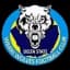 Warri Wolves FC