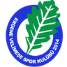 Ergene Velimeşe Spor