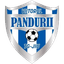 Viitorul Pandurii Târgu Jiu