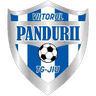 Viitorul Pandurii Târgu Jiu