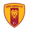 Niğde Anadolu FK
