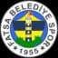 Fatsa Belediyespor