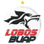 Lobos BUAP