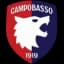 Campobasso FC