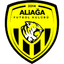 Aliağa FK