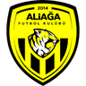 Aliağa FK