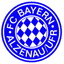 FC Bayern Alzenau