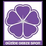 Guzide Gebzespor