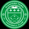 Sleaford Town FC
